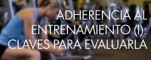 adherecia-entrenamiento-web