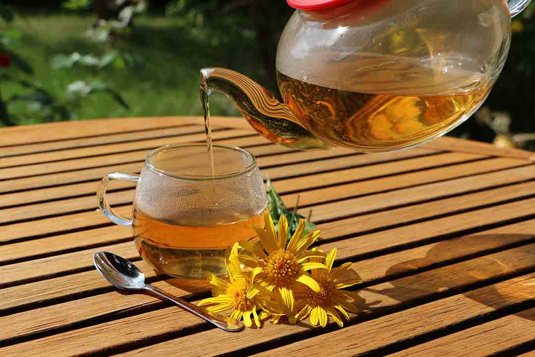 20 Tipos De Infusiones Y Sus Beneficios Sobre La Salud - PsicoPico